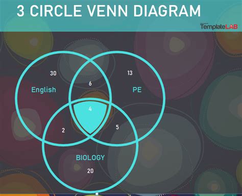 Venn diagrams examples with solution 2 3 circles » newsspot.co.ke