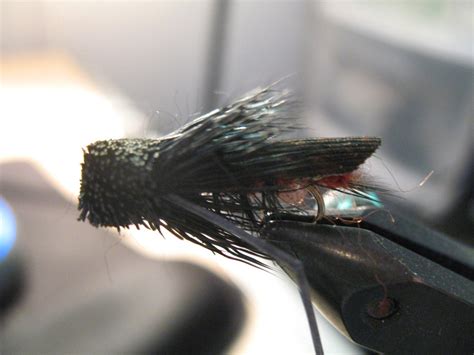 TOP QUALITY HAND TIED CRICKET FLY 2 PK rainbow trout brown trout flies fishing