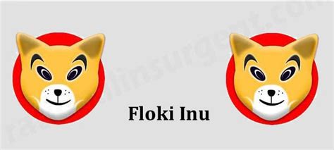 Floki Inu Coin Where To Buy {June} Prediction And Price Here! - HazelNews