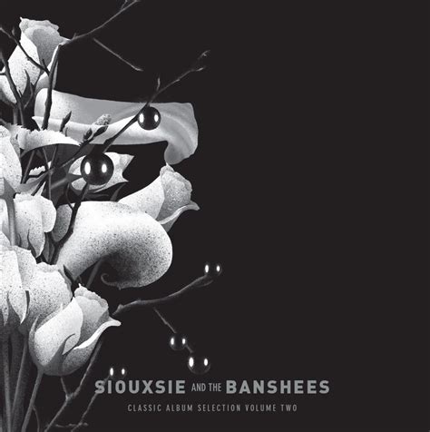 Siouxsie and the Banshees "Classic Albums Selections" Volume II will be ...