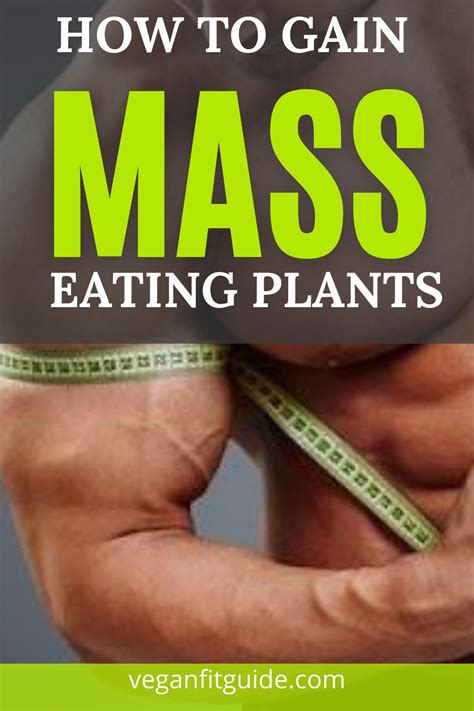 The 5 Best Vegan Mass Gainers: Top Weight Gainers to Put on Muscle | Mass gainer, Mass gain diet ...
