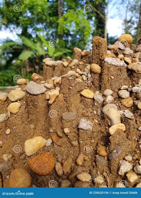 Pile of soil and rock stock photo. Image of plant, pile - 230620196