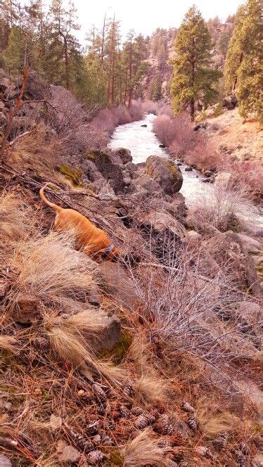 Pin by Saul Kemble on Sisters Oregon | Sisters oregon, Outdoor, Oregon