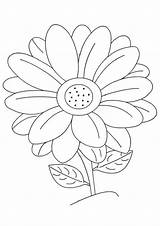 Daisy Flower Coloring Pages & coloring book sketch template