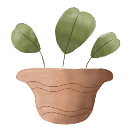 Plant Pots Hd Transparent, Pot House Plant Watercolor, Pot, House Plant, Watercolor PNG Image ...