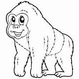 Silverback Gorilla » Coloring Pages Surfnetkids sketch template
