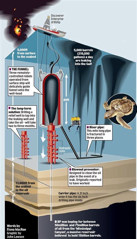 Infographic - Deepwater Horizon Oil Spill | Petroleum engineering ...