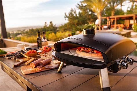 Nexgrill Cast Aluminum Countertop Liquid Propane Pizza Oven & Reviews | Wayfair