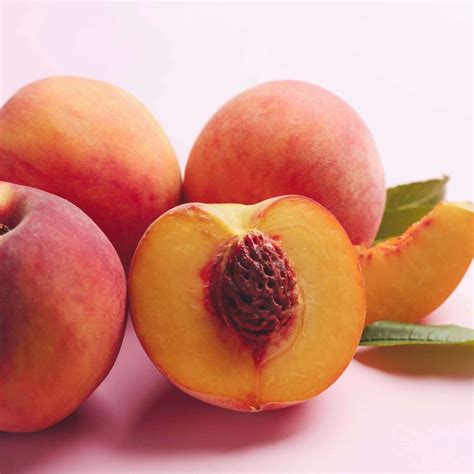 Elberta Peach | Plants Express