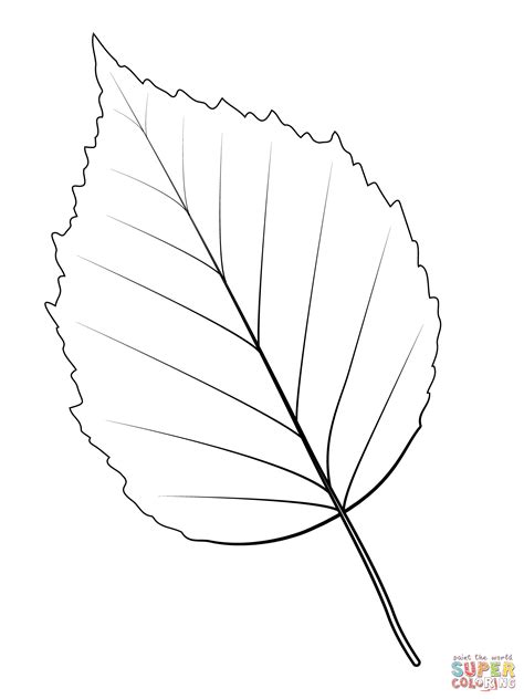 Paper Birch Leaf coloring page | Free Printable Coloring Pages | Leaf ...