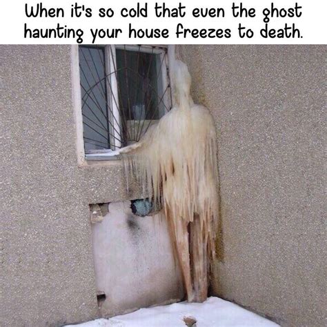 It sure is cold outside! | Cold meme, Funny memes images, Funny weather