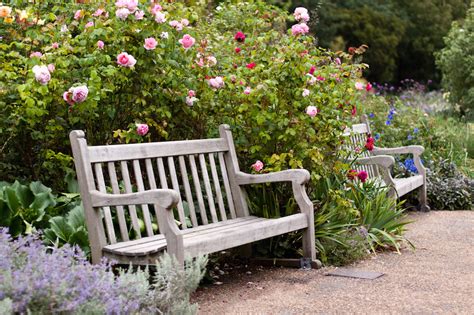 8 Places To See Beautiful Roses In Bloom In London | Londonist