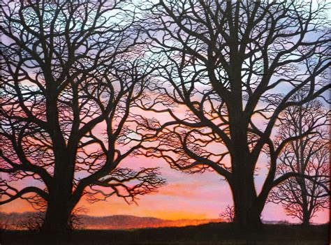 Bare trees at sunset | Bare tree, Sunset, Sunrise