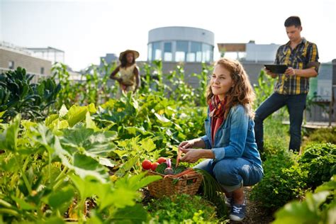 Sustainable Agriculture & Food Chain | Connecting Nature