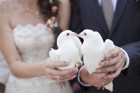 Wedding doves | Easy Weddings