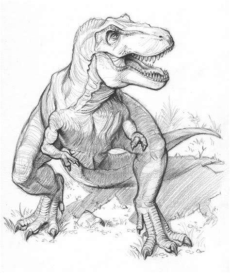 T-Rex sketch by Almayer on DeviantArt | Dinosaur sketch, T-rex drawing ...