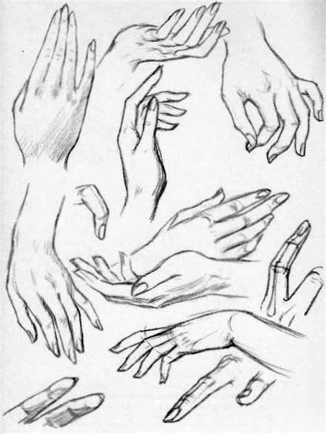 How to Draw Hands – Reference Sheets and Guides to Drawing Hands – How ...