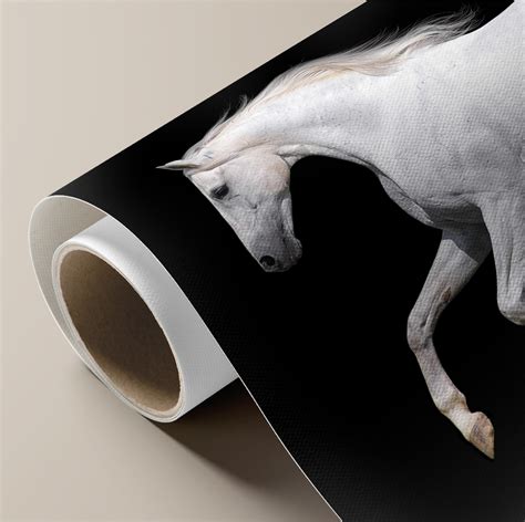 White Horse running with black background | MUR Gallery