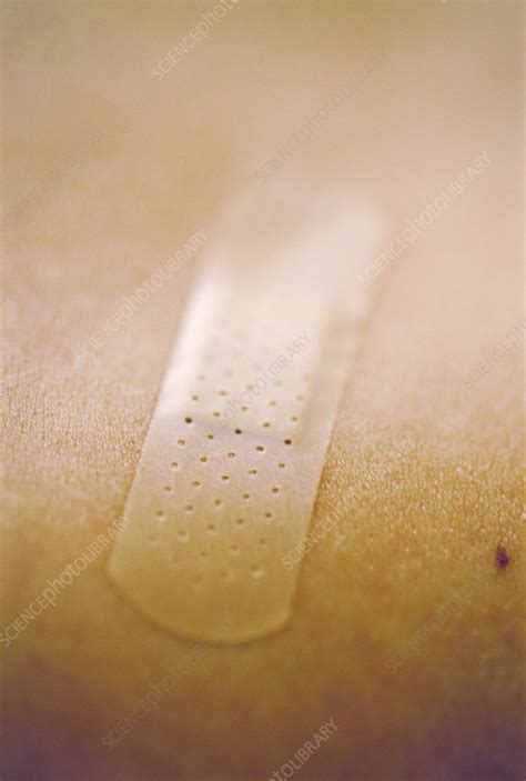 Sticking plaster - Stock Image - M330/0956 - Science Photo Library