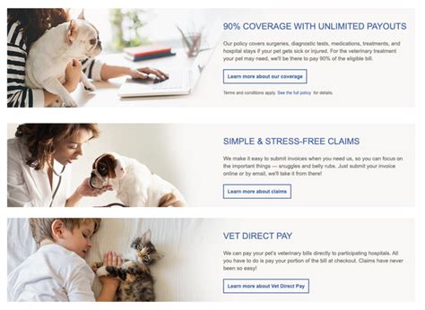 10 Best Pet Insurance Providers of 2024 | ConsumersAdvocate.org