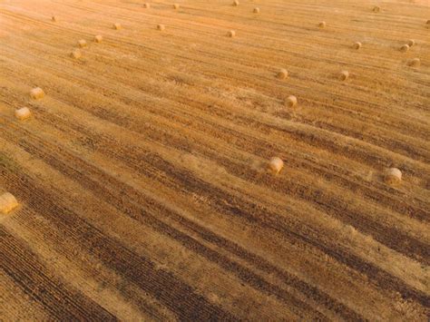 Premium Photo | Aerial view sunset field harvest autumn time