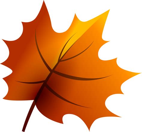 Yellow autumn leaf. 12011736 PNG