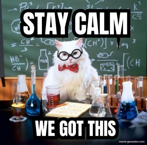 STAY CALM WE GOT THIS - Meme Generator