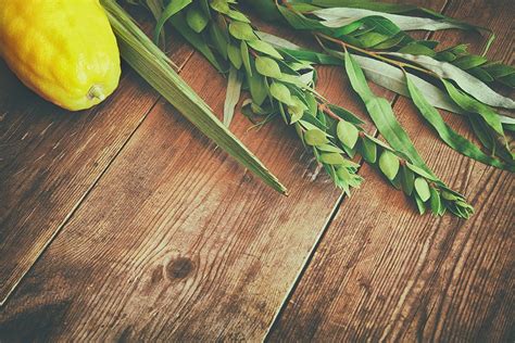 Sukkot - Baruch HaShem Messianic Synagogue