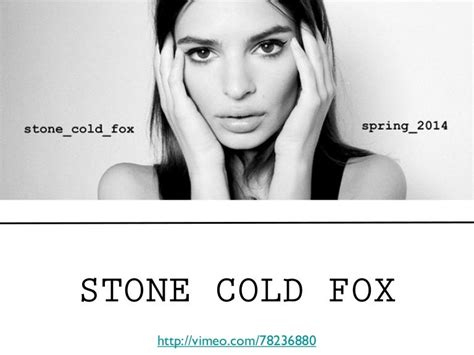 STONE COLD FOX