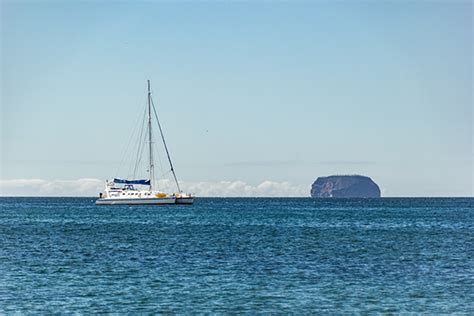 Discounts in Cruises to Galapagos Islands - GalapagosInformation.com Blog