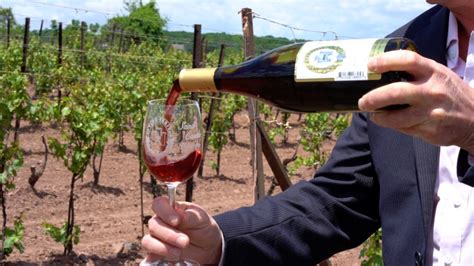 Bucks County Wine Trail – Explore the family wineries of Bucks County