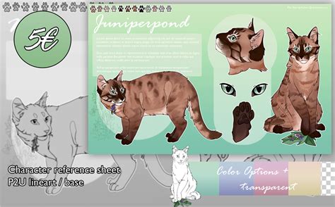 Warriors P2U Base "Reference Sheet Medicine Cat" - Ridraw's Ko-fi Shop - Ko-fi ️ Where creators ...