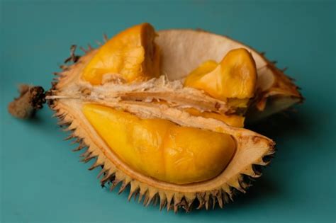 Premium Photo | Durio kutejensis, commonly known as durian pulu, durian ...