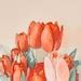 Phone Background Watercolor Spring Ios Wallpaper Minimal - Etsy