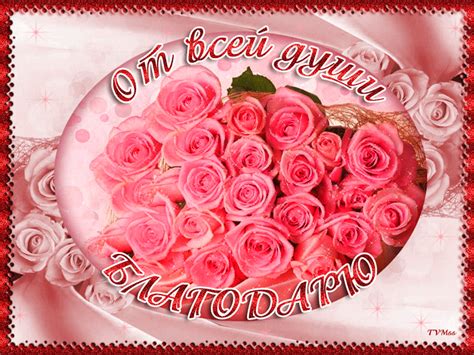 a bouquet of pink roses on a plate with the words om becai gynna
