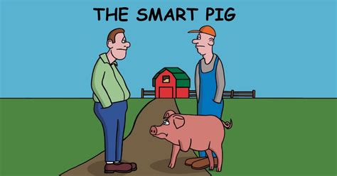 The Smart Pig - The Grog | Smart, Pig, Grog