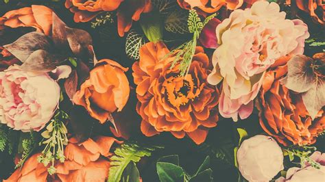 Orange Flowers Backgrounds