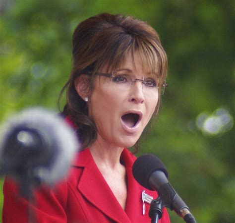 The Orbson Oracle: Sarah Palin Knocks Self Unconscious Taking Ice Bucket Challenge