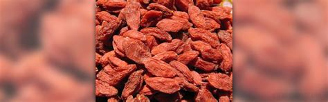 Health benefits of wolfberries | General center | SteadyHealth.com