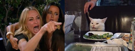 Woman Yelling at a Cat HD meme upscale | Woman Yelling at a Cat | Cat memes, Meme template, Best ...