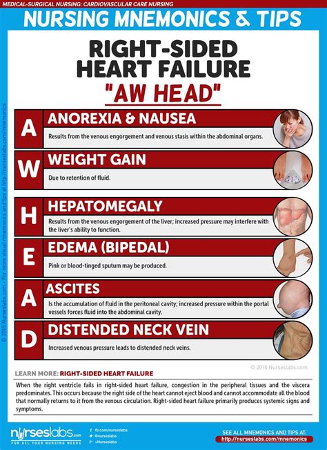 Right-Sided Heart Failure Manifestations: “AW HEAD” Cardiovascular Care ...