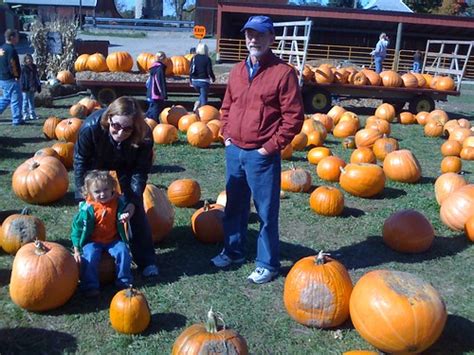 pumpkin patch | Brandon Harvey | Flickr