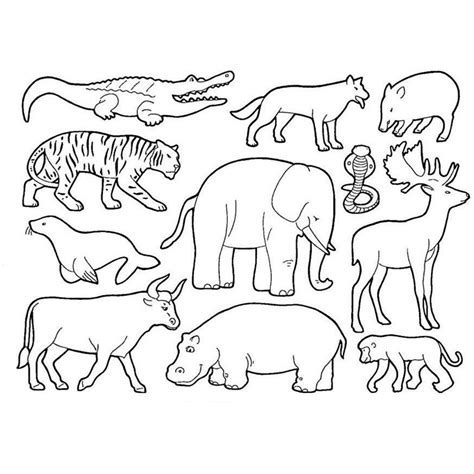 Coloriage Animaux sauvages / de la jungle #21120 (Animaux) – Dessin à colorier – Coloriages à ...