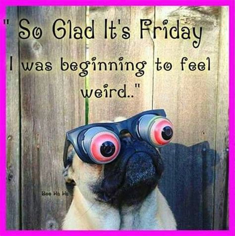 So very glad. #Friday | Its friday quotes, Friday quotes funny, Funny good morning quotes