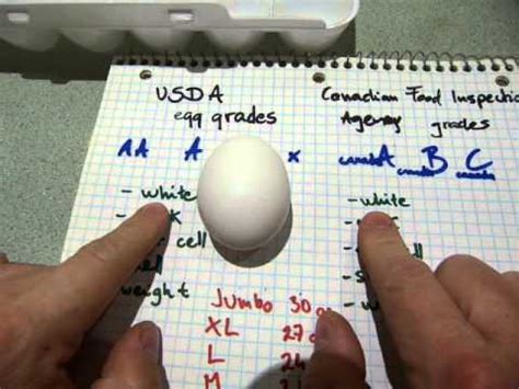 What are egg grades? - YouTube