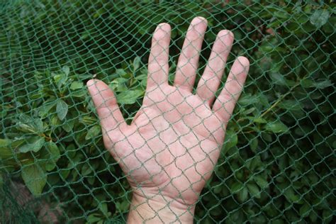 Deer-Terrent Plant Netting Cover- Protect shrubs up to 2.5-3' tall