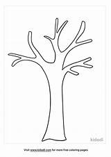 Free Bare Tree Outline Coloring Page  Printables sketch template