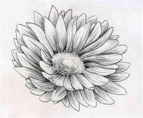 3d Flower Drawing at PaintingValley.com | Explore collection of 3d ...