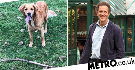 Gardeners’ World’s Monty Don shares update on beloved dog Nellie ...