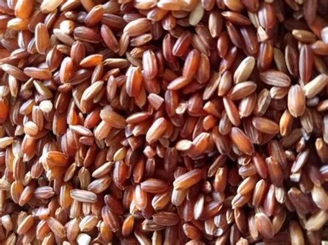 RED RICE ASSAM RICE, Bag at Rs 70/kg in Chennai | ID: 23483203688